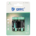 SET 2 PILAS GSC EVOLUTION SALINA R14 C