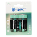 SET 2 PILAS GSC EVOLUTION SALINA R20 D