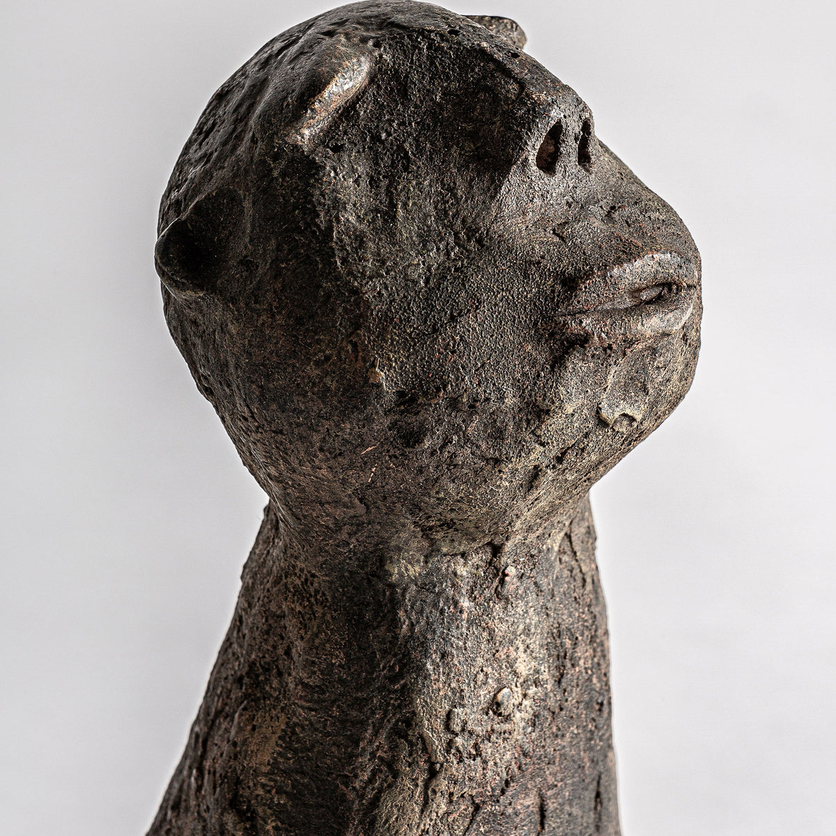 BUSTO BLASSE