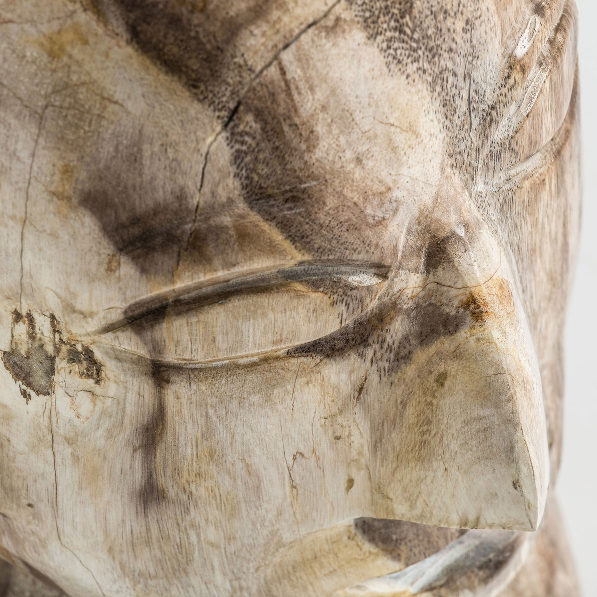 BUSTO ROBIN