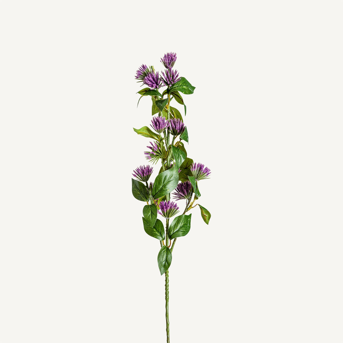 FLOR CENTAUREA