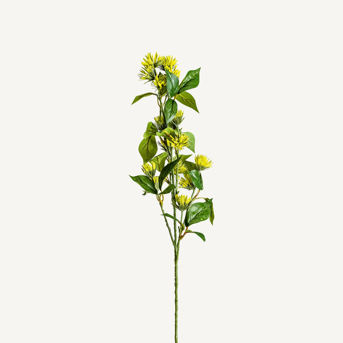 FLOR SOLIDAGO