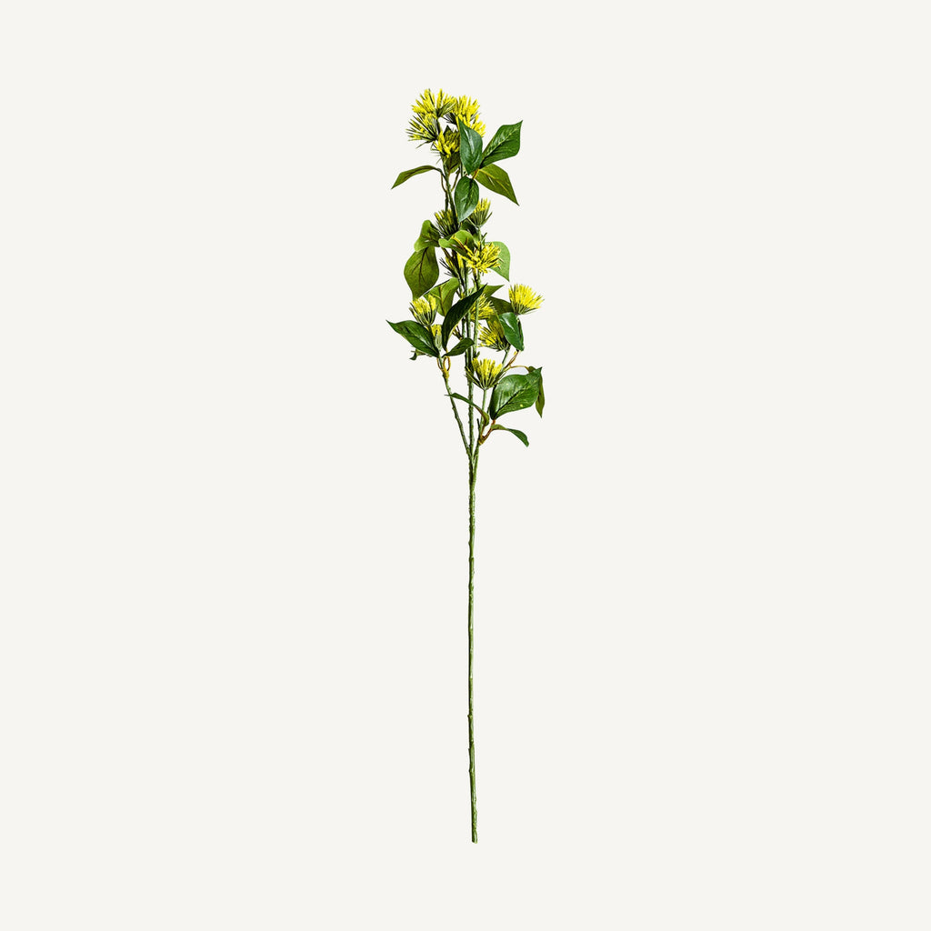 FLOR SOLIDAGO