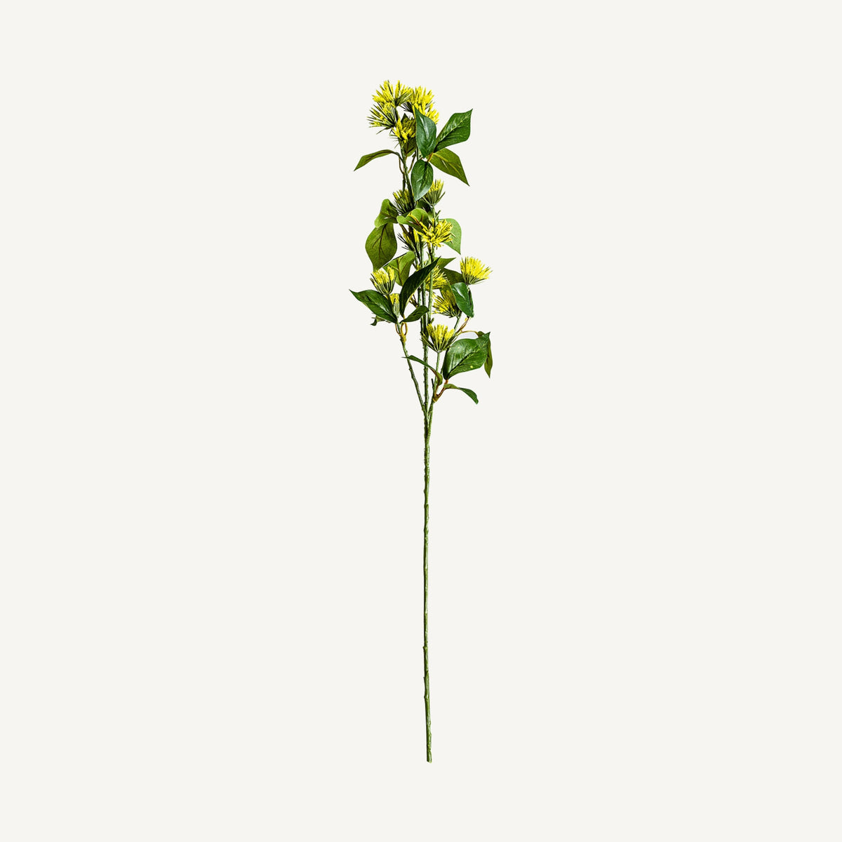 FLOR SOLIDAGO