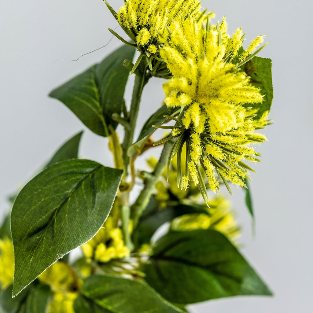 FLOR SOLIDAGO