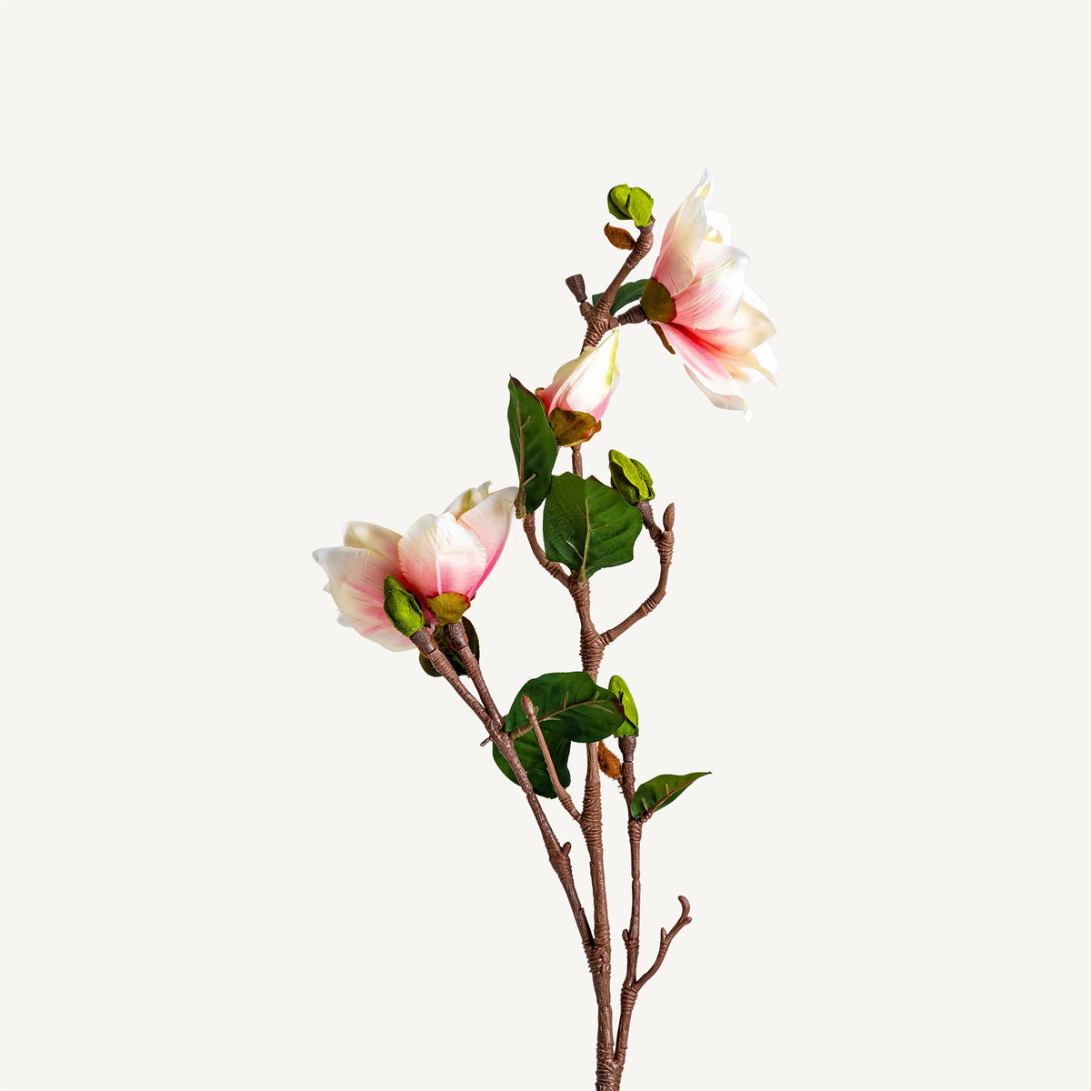 FLOR YULAN