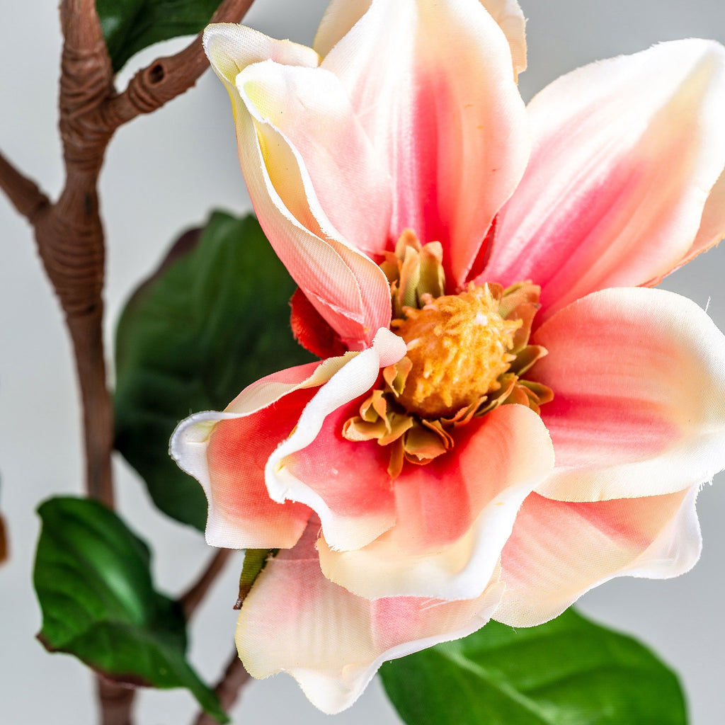 FLOR YULAN
