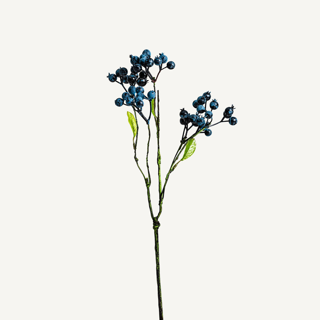 PLANTA VIBURNUM