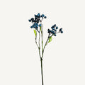 PLANTA VIBURNUM
