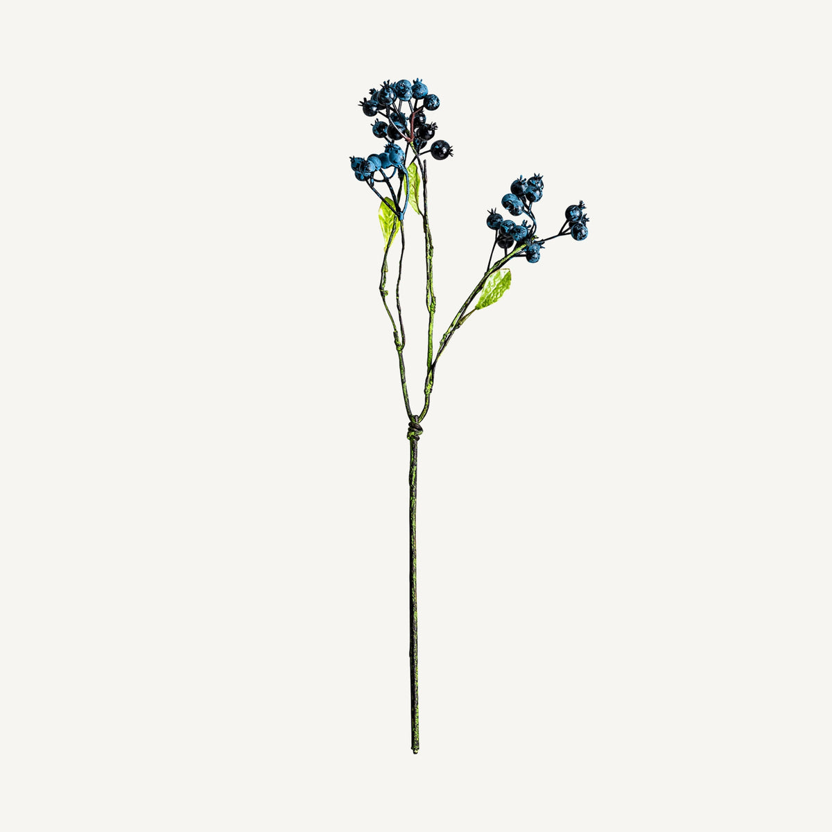 PLANTA VIBURNUM