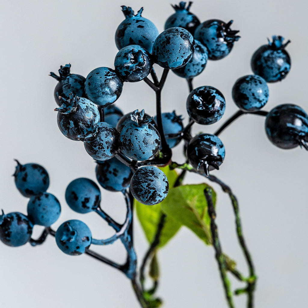 PLANTA VIBURNUM