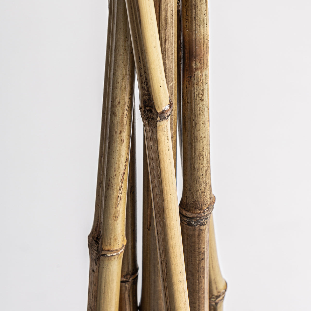 RAMA DECORATIVA J/6
