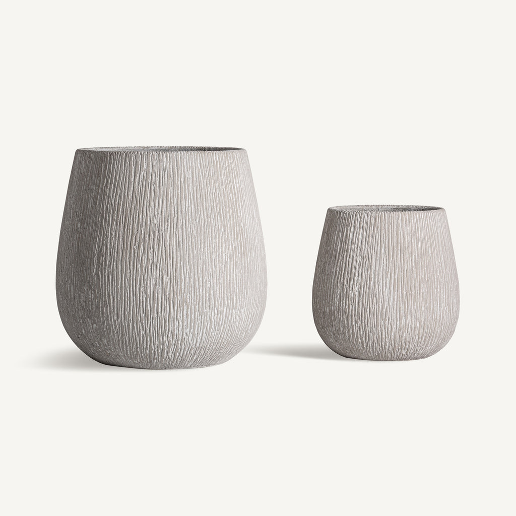 TINAJA CARLUX J/2